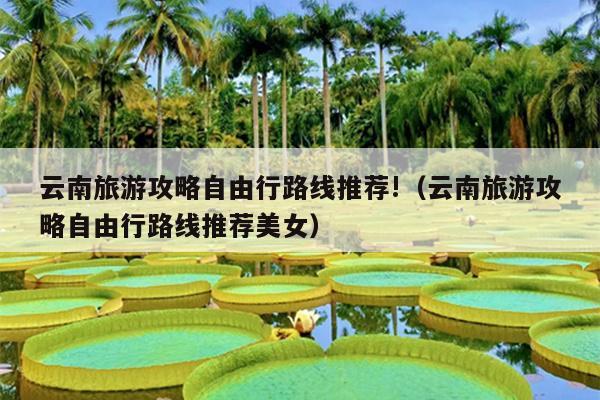 云南旅游攻略自由行路线推荐!（云南旅游攻略自由行路线推荐美女）