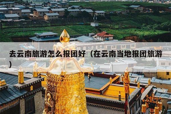 去云南旅游怎么报团好（在云南当地报团旅游）