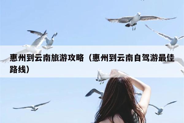 惠州到云南旅游攻略（惠州到云南自驾游最佳路线）