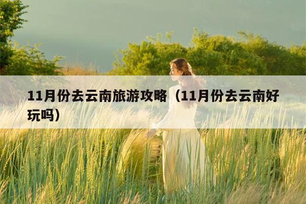 11月份去云南旅游攻略（11月份去云南好玩吗）