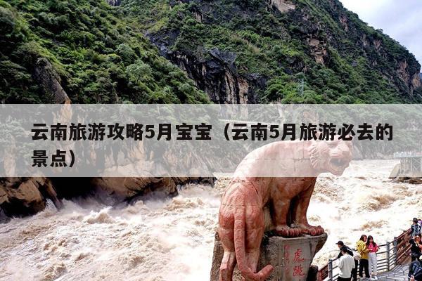 云南旅游攻略5月宝宝（云南5月旅游必去的景点）