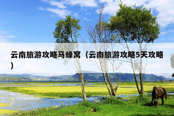 云南旅游攻略马蜂窝（云南旅游攻略5天攻略）