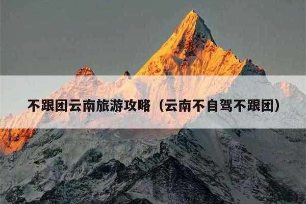 不跟团云南旅游攻略（云南不自驾不跟团）