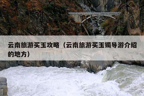 云南旅游买玉攻略（云南旅游买玉镯导游介绍的地方）