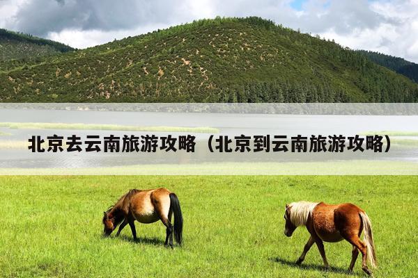 北京去云南旅游攻略（北京到云南旅游攻略）
