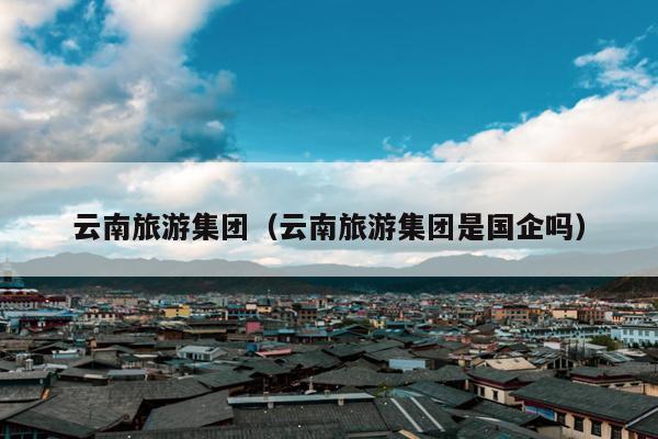云南旅游集团（云南旅游集团是国企吗）