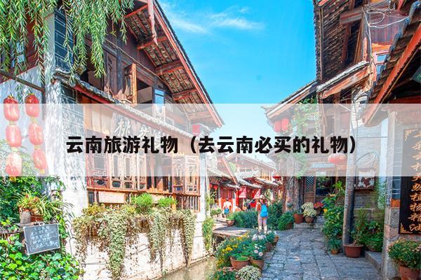云南旅游礼物（去云南必买的礼物）