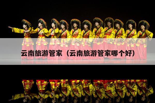 云南旅游管家（云南旅游管家哪个好）