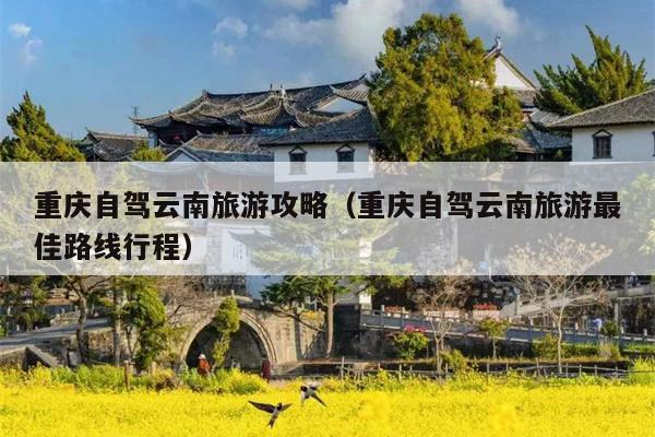 重庆自驾云南旅游攻略（重庆自驾云南旅游最佳路线行程）