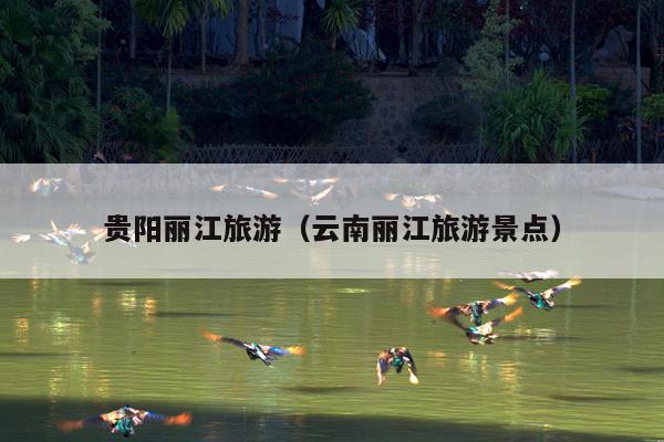 贵阳丽江旅游（云南丽江旅游景点）