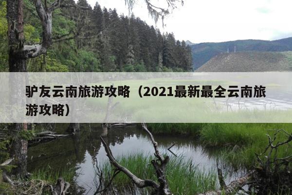 驴友云南旅游攻略（2021最新最全云南旅游攻略）
