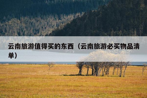 云南旅游值得买的东西（云南旅游必买物品清单）