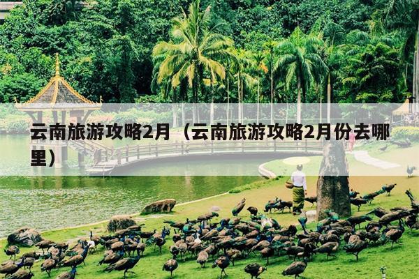 云南旅游攻略2月（云南旅游攻略2月份去哪里）