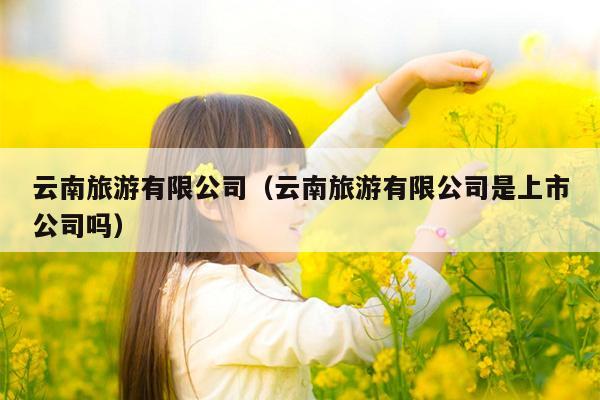 云南旅游有限公司（云南旅游有限公司是上市公司吗）