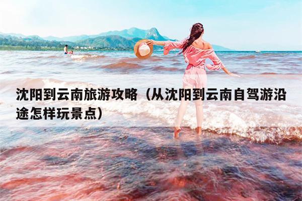 沈阳到云南旅游攻略（从沈阳到云南自驾游沿途怎样玩景点）